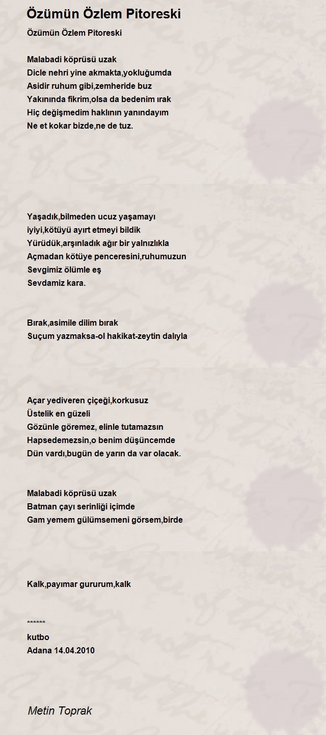 Metin Toprak