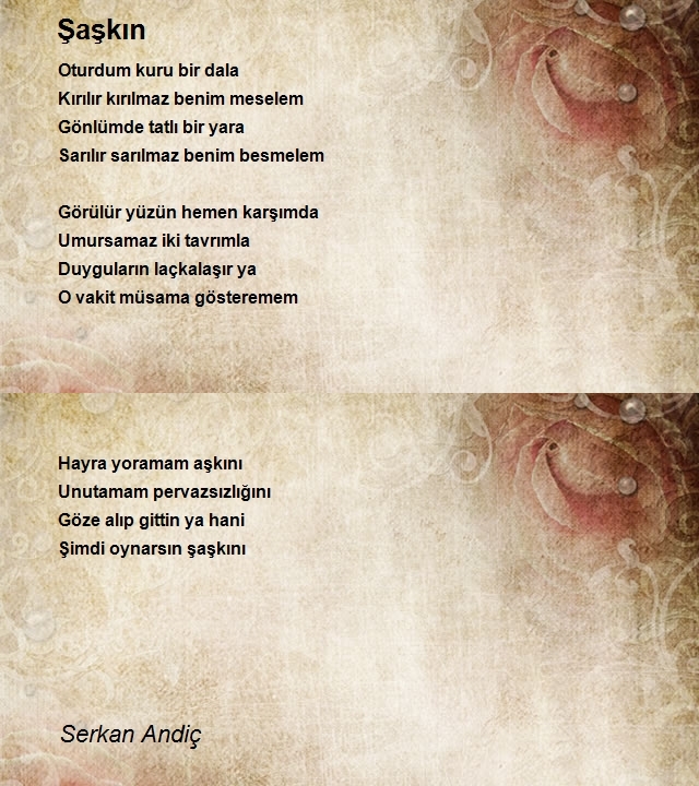 Serkan Andiç