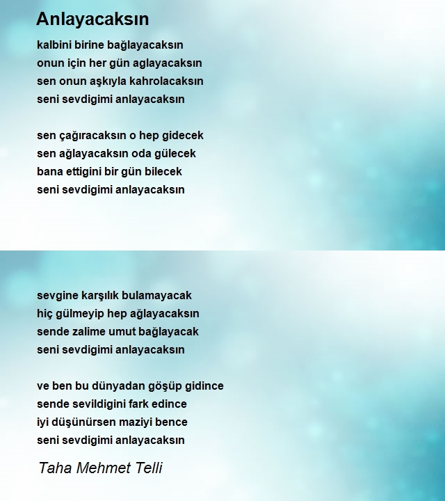 Taha Mehmet Telli
