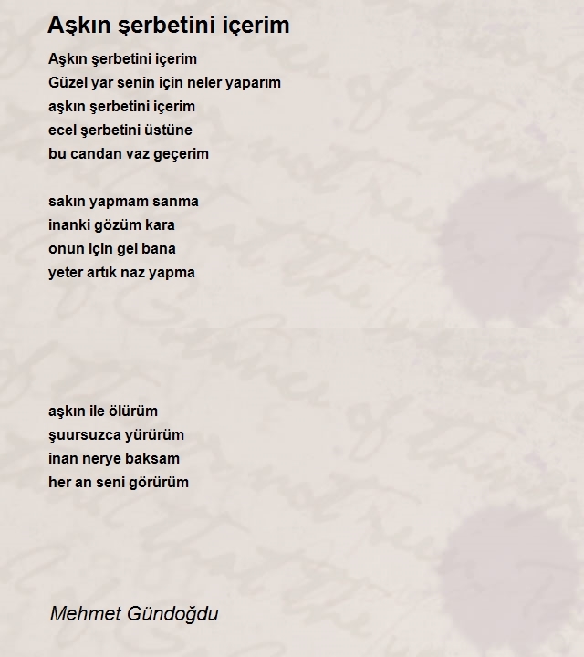 Mehmet Gündoğdu