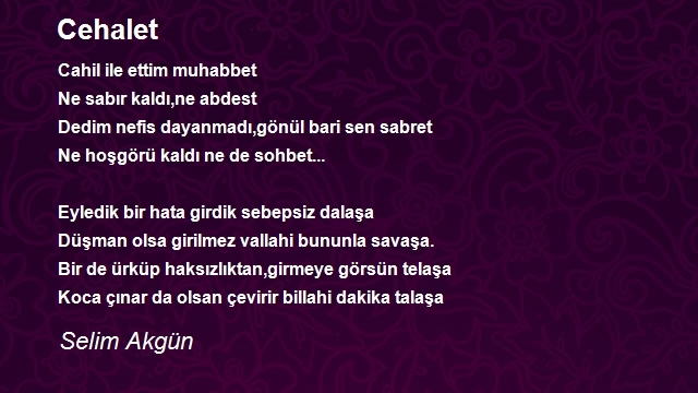 Selim Akgün