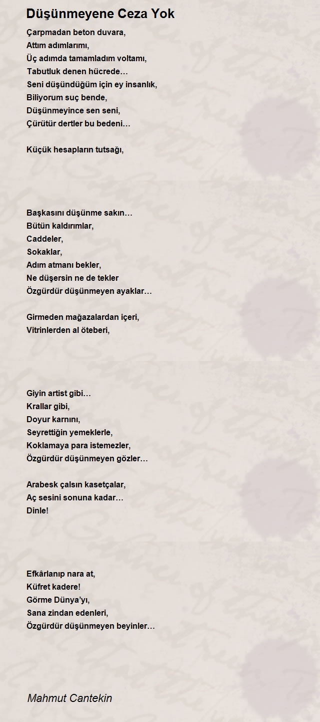 Mahmut Cantekin