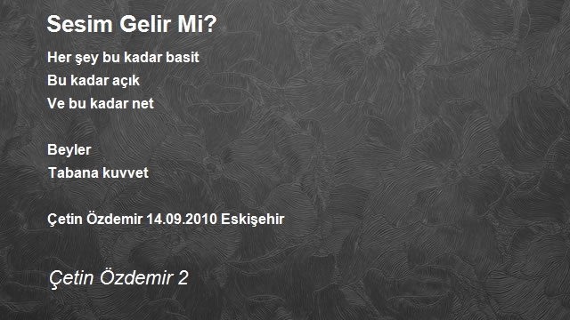 Çetin Özdemir 2