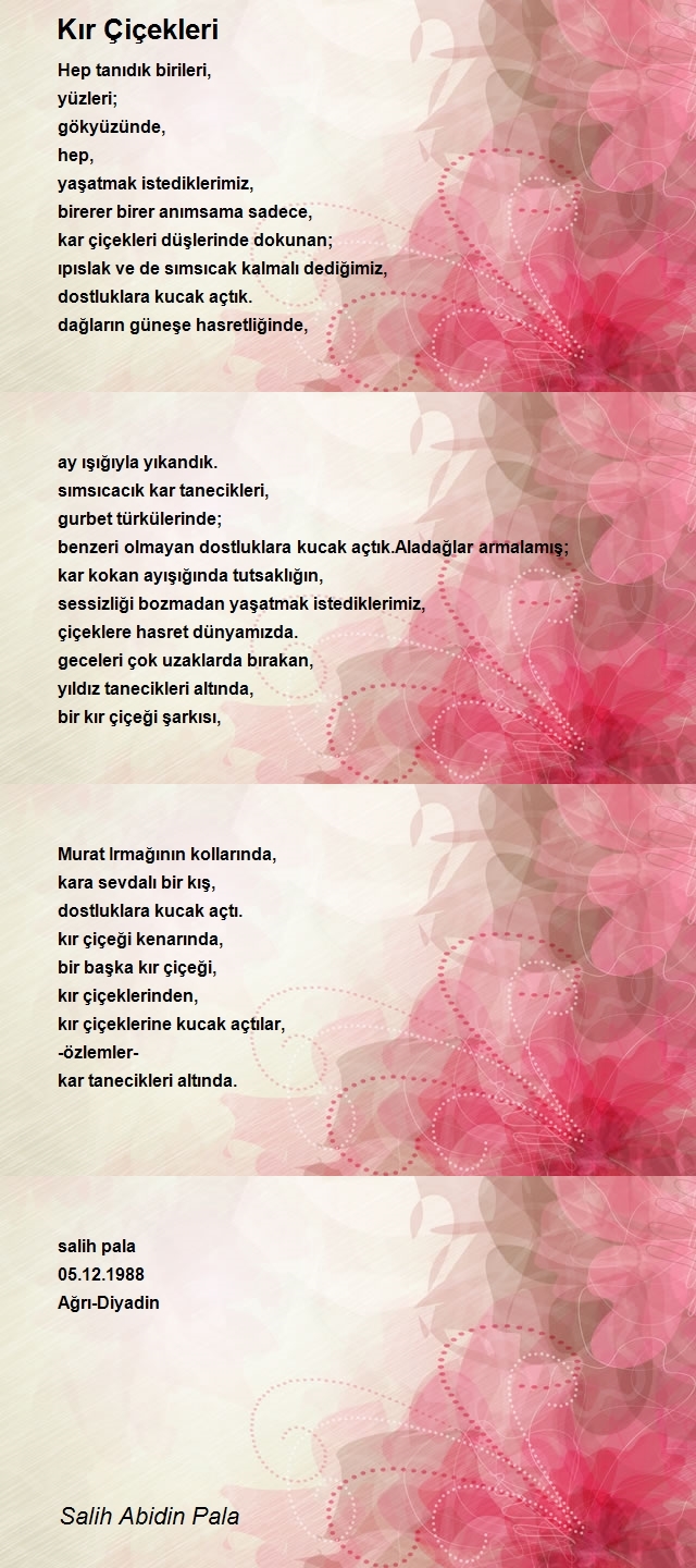 Salih Abidin Pala