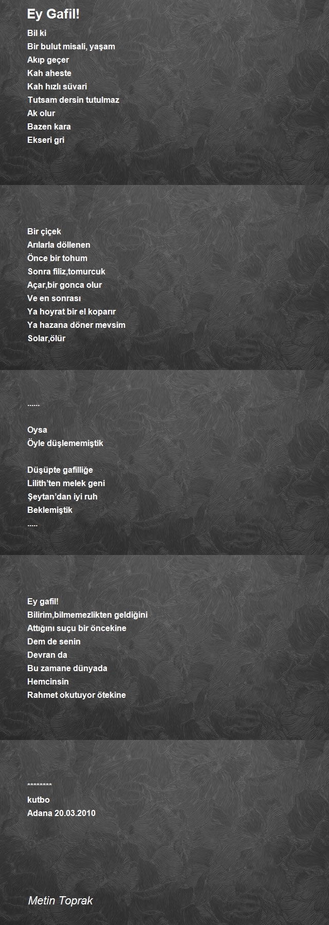 Metin Toprak