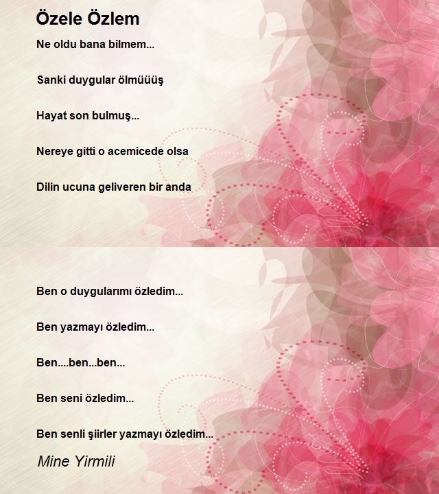 Mine Yirmili