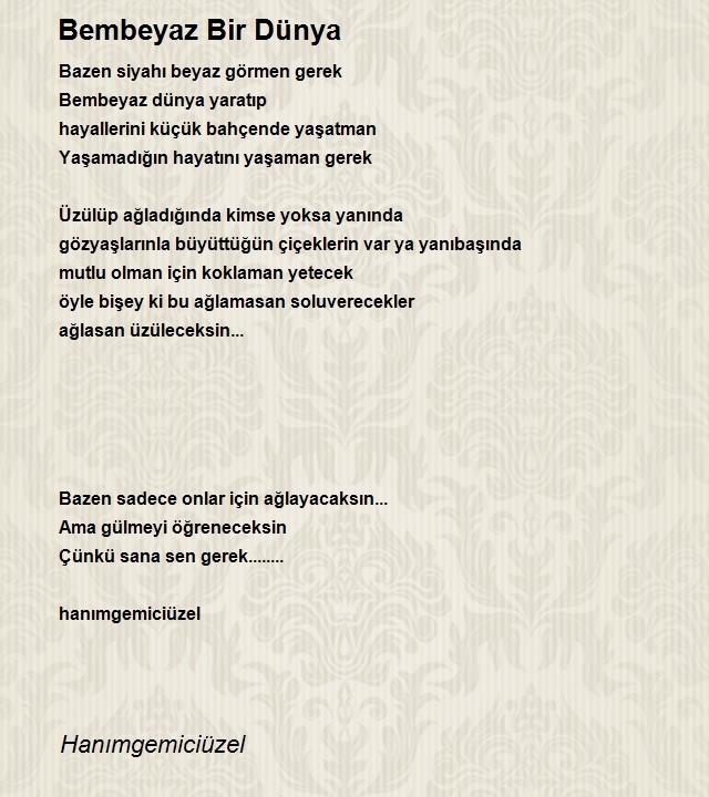 Hanımgemiciüzel