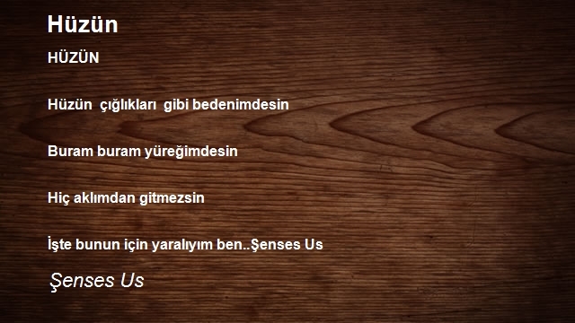 Şenses Us