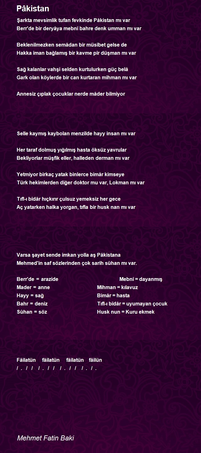 Mehmet Fatin Baki