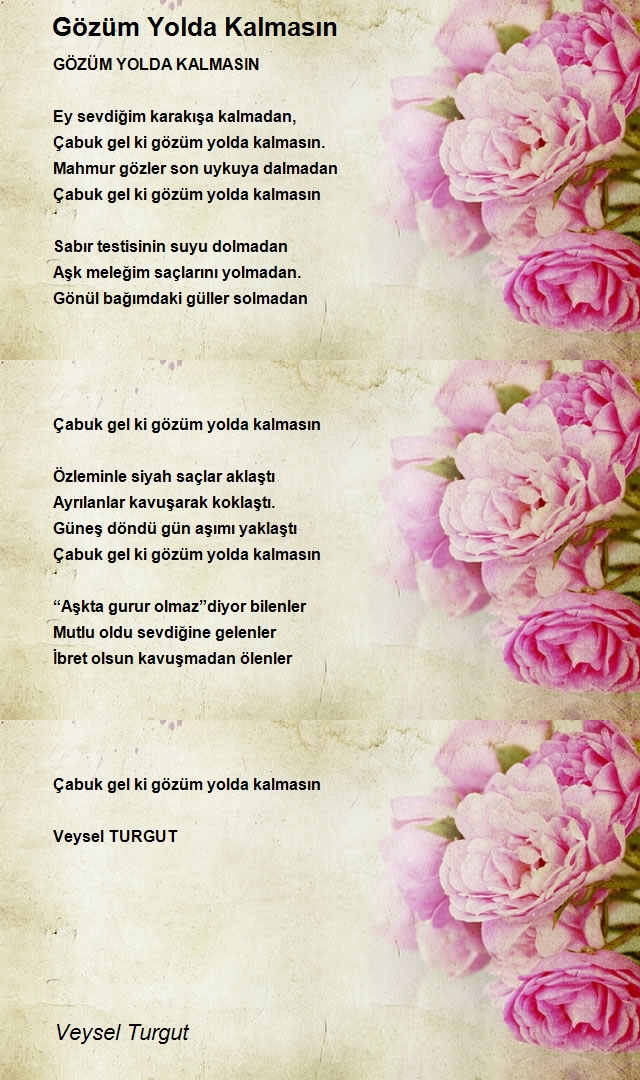 Veysel Turgut