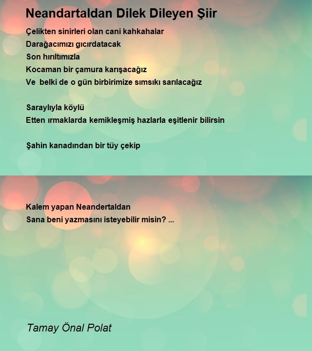 Tamay Önal Polat