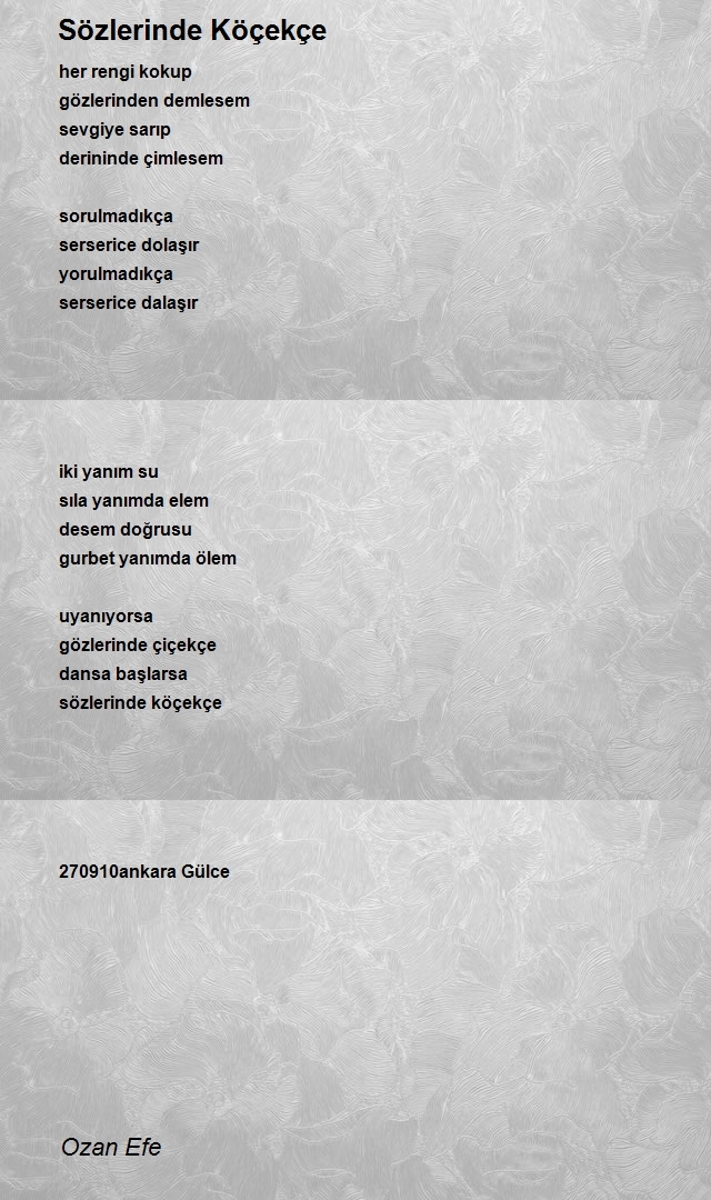 Ozan Efe