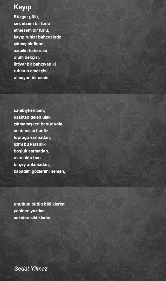 Sedat Yilmaz