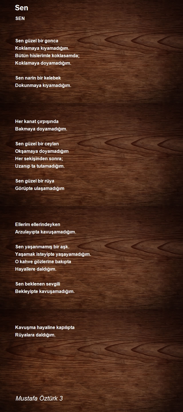 Mustafa Öztürk 3