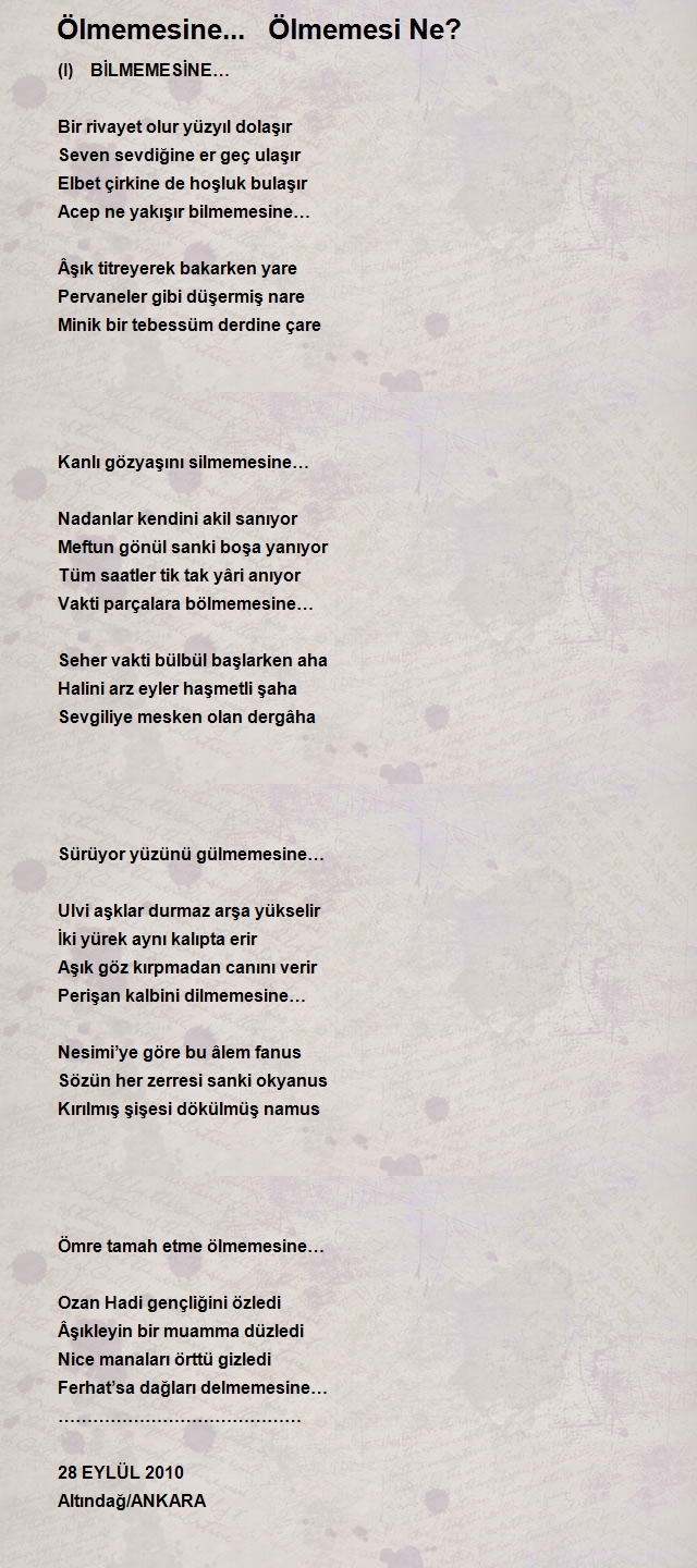 Ahmet Öztürk 3