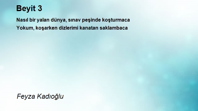 Feyza Kadıoğlu