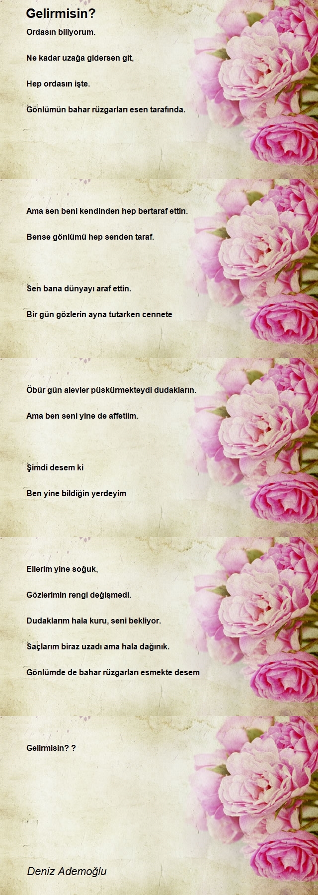 Deniz Ademoğlu