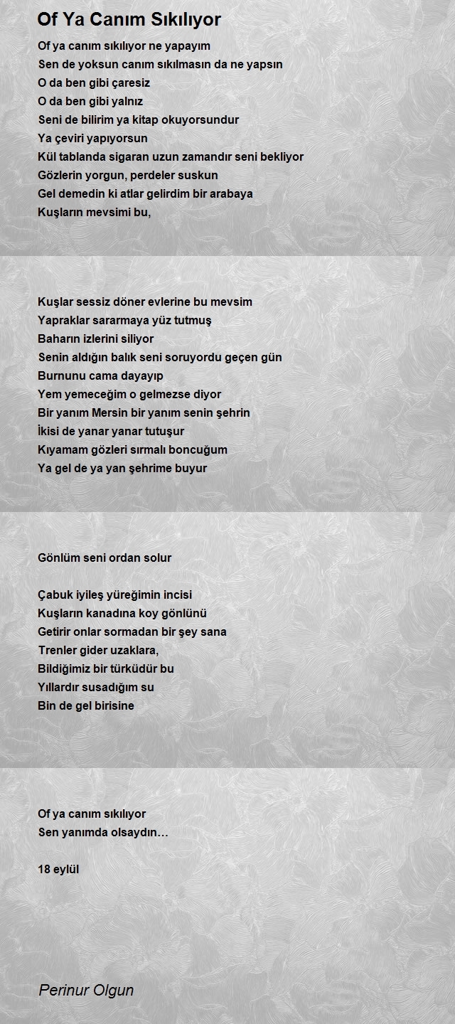 Perinur Olgun