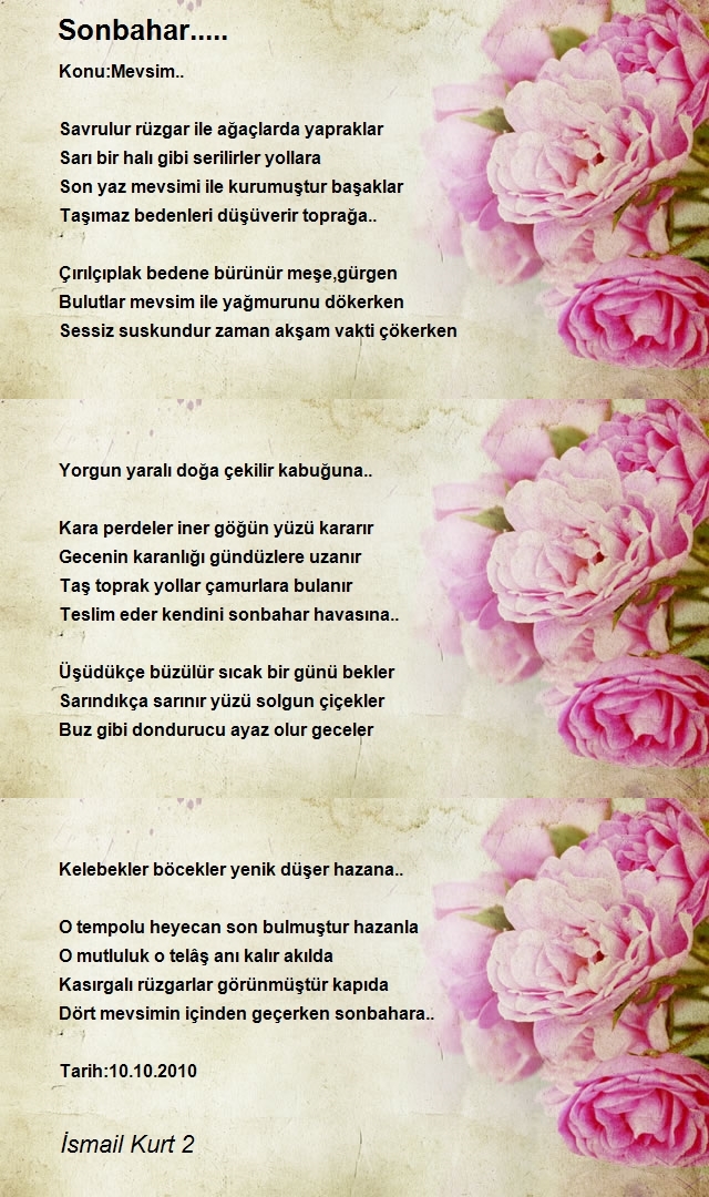İsmail Kurt 2