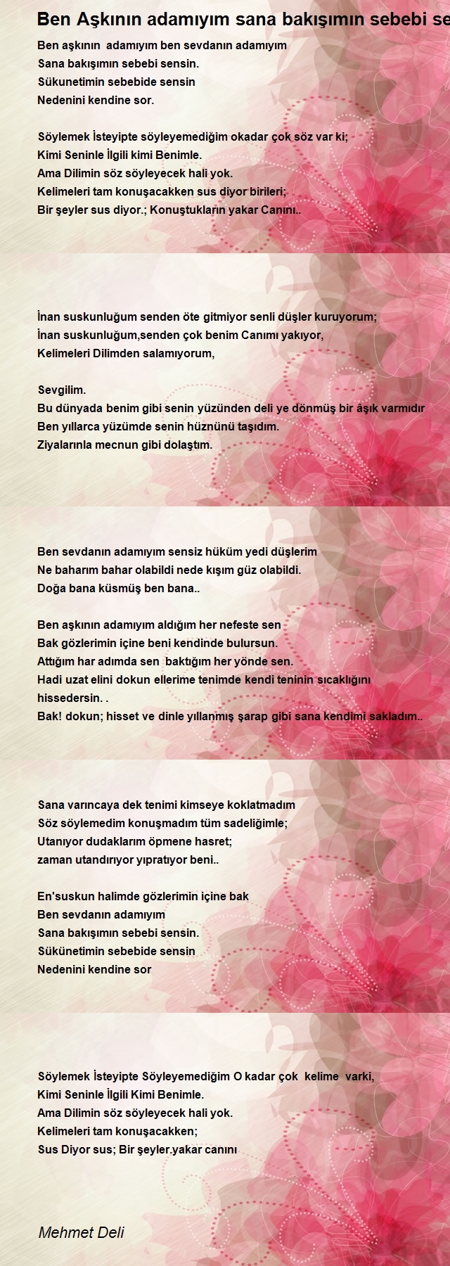 Mehmet Deli