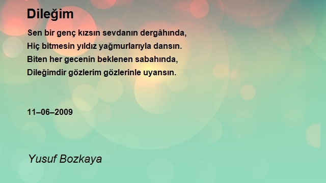 Yusuf Bozkaya