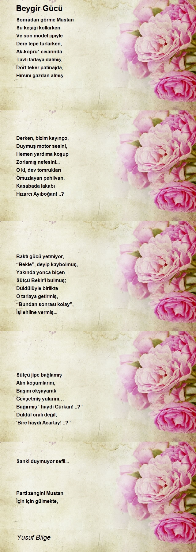 Yusuf Bilge