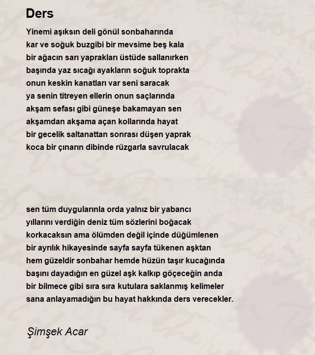 Şimşek Acar