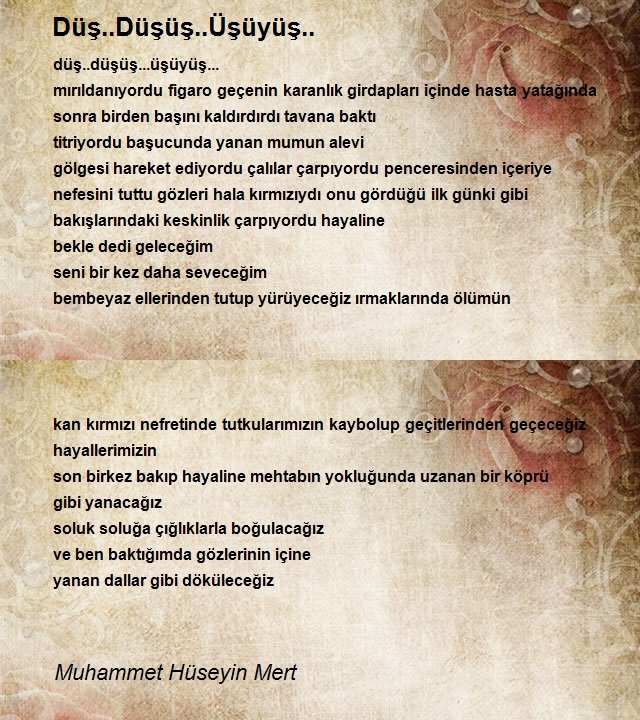 Muhammet Hüseyin Mert