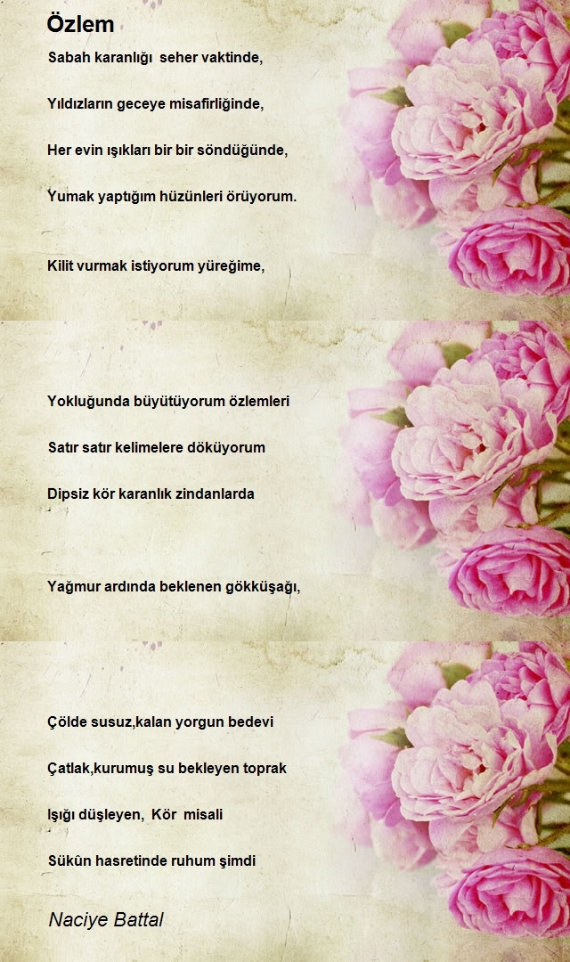Naciye Battal