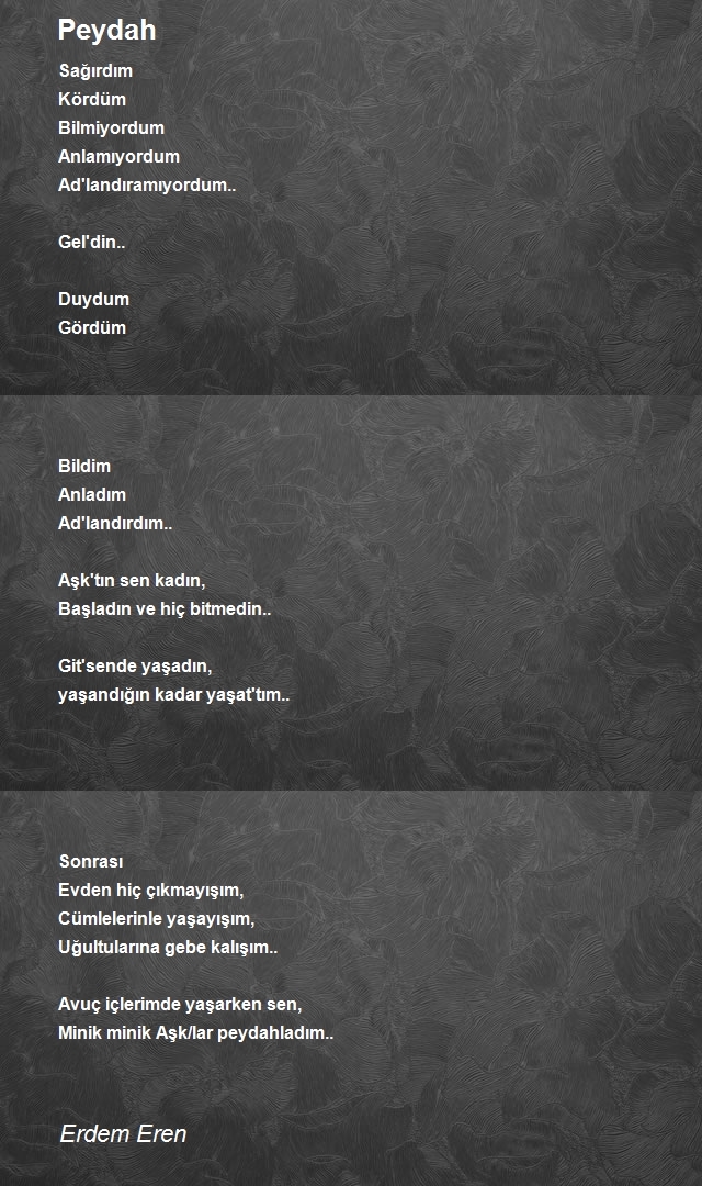 Erdem Eren