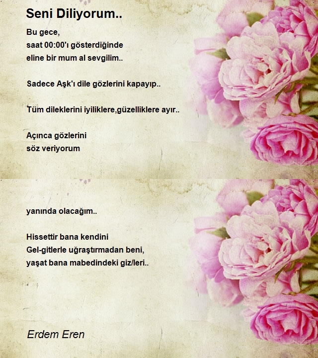Erdem Eren