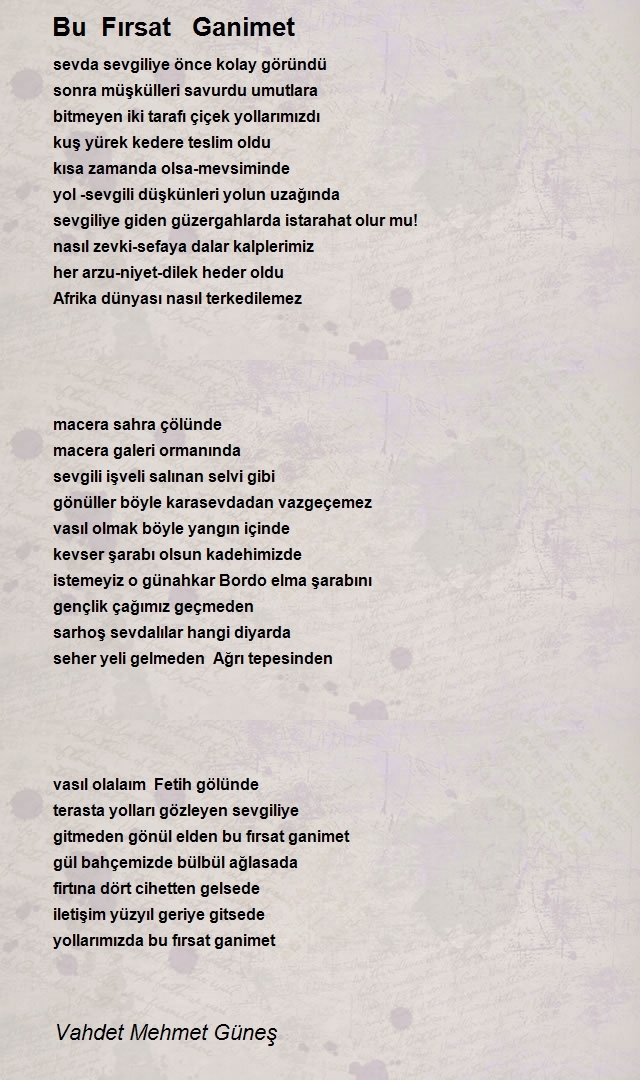 Vahdet Mehmet Güneş