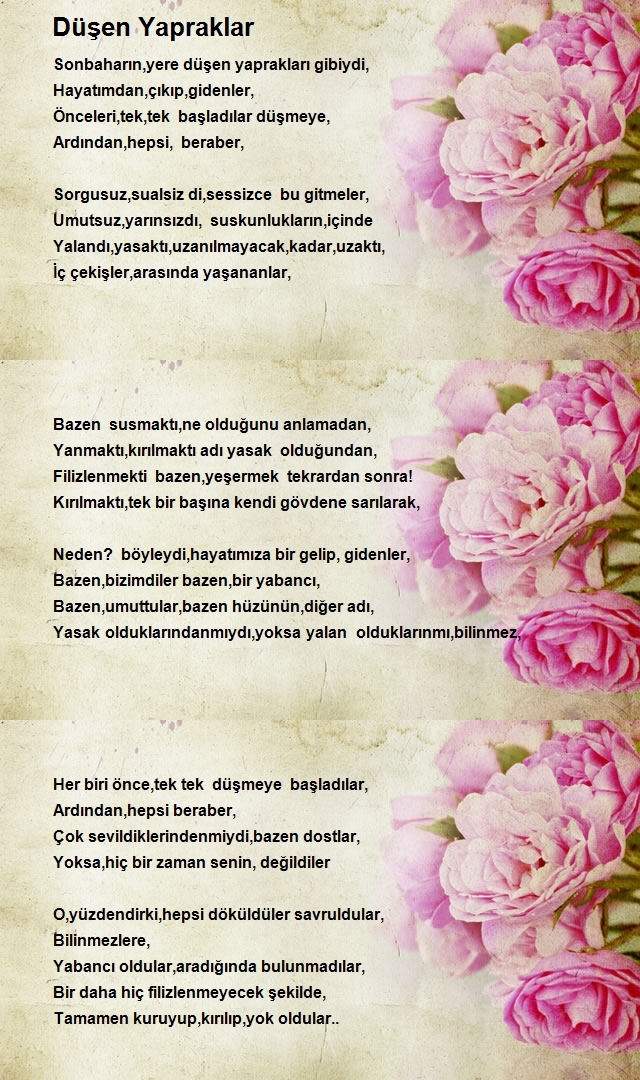 Medine Yılmazer