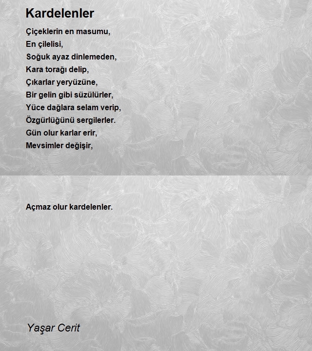 Yaşar Cerit