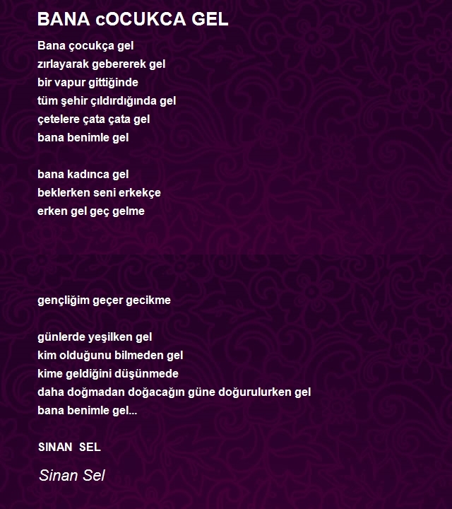 Sinan Sel