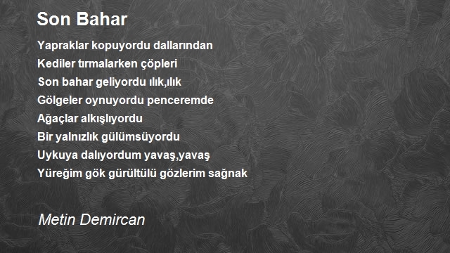 Metin Demircan