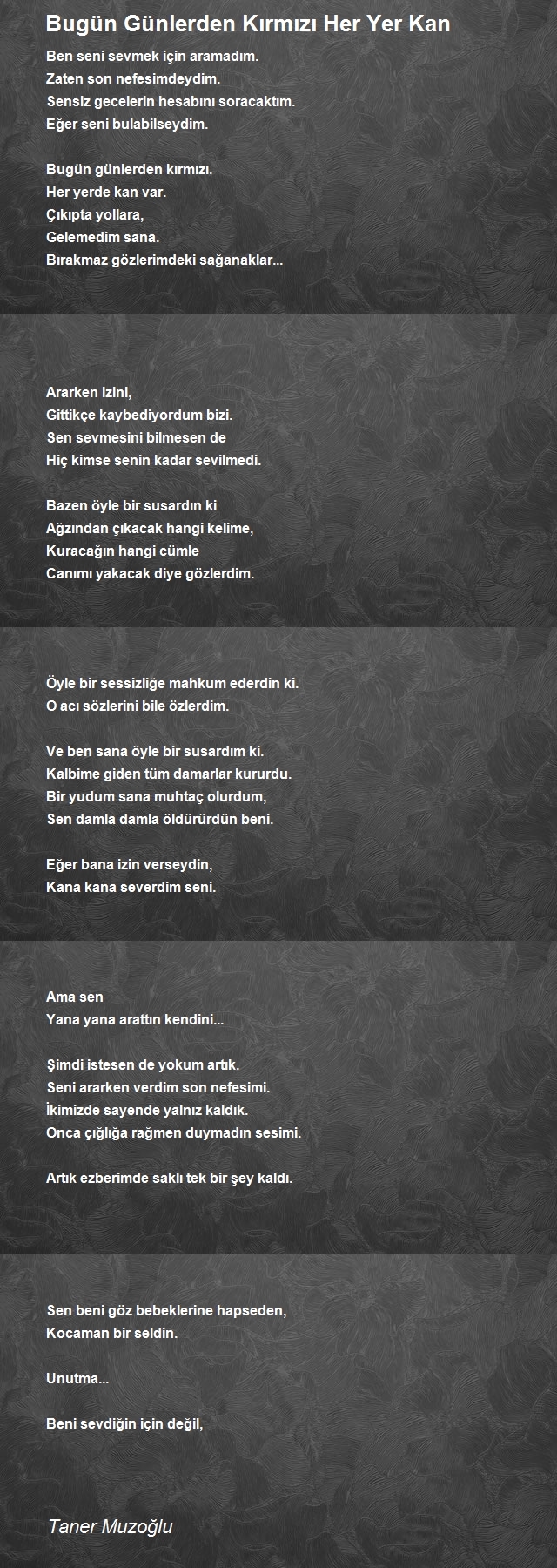 Taner Muzoğlu