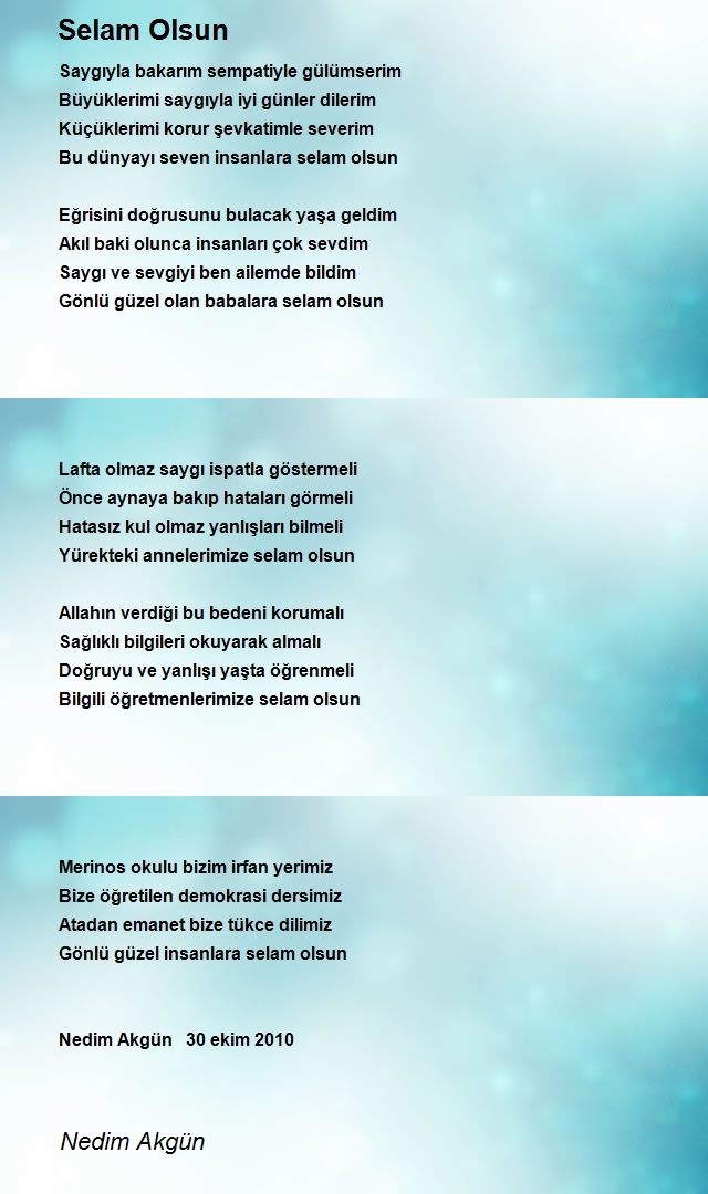 Nedim Akgün