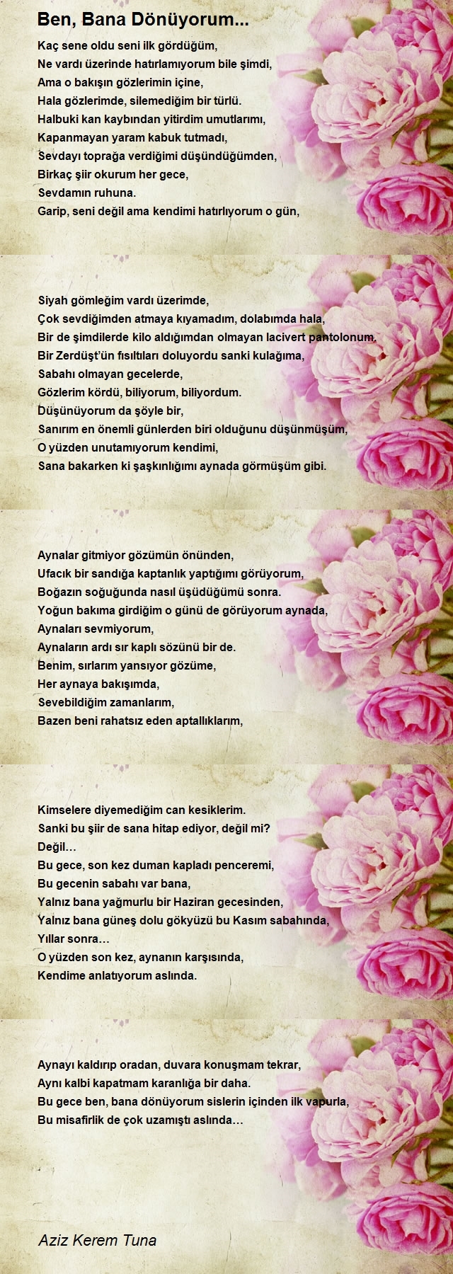 Aziz Kerem Tuna