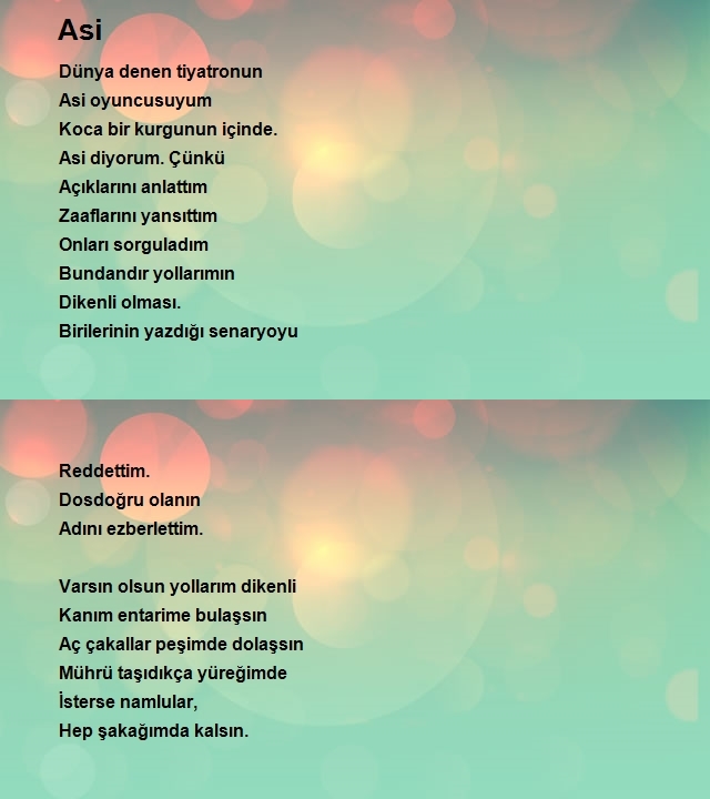 Sinan Şaşmaz