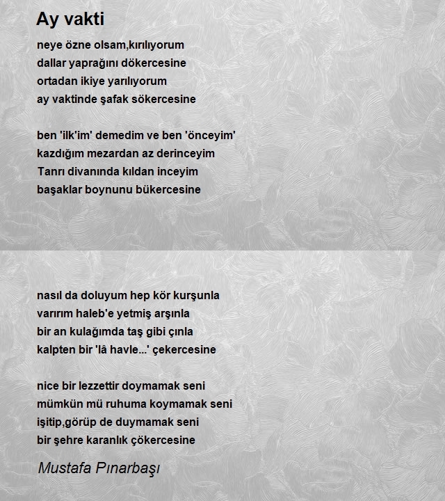 Mustafa Pınarbaşı
