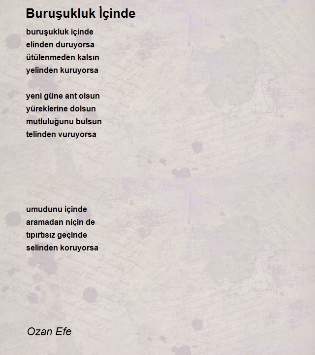 Ozan Efe