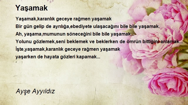 Ayşe Ayyıldız