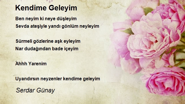 Serdar Günay