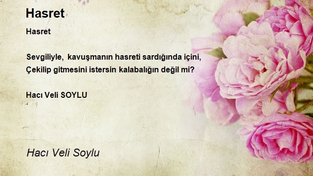 Hacı Veli Soylu