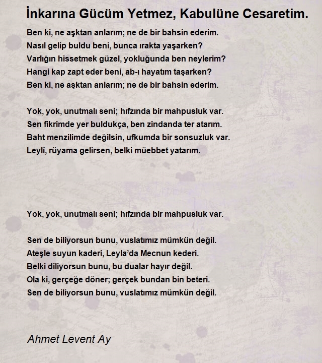 Ahmet Levent Ay