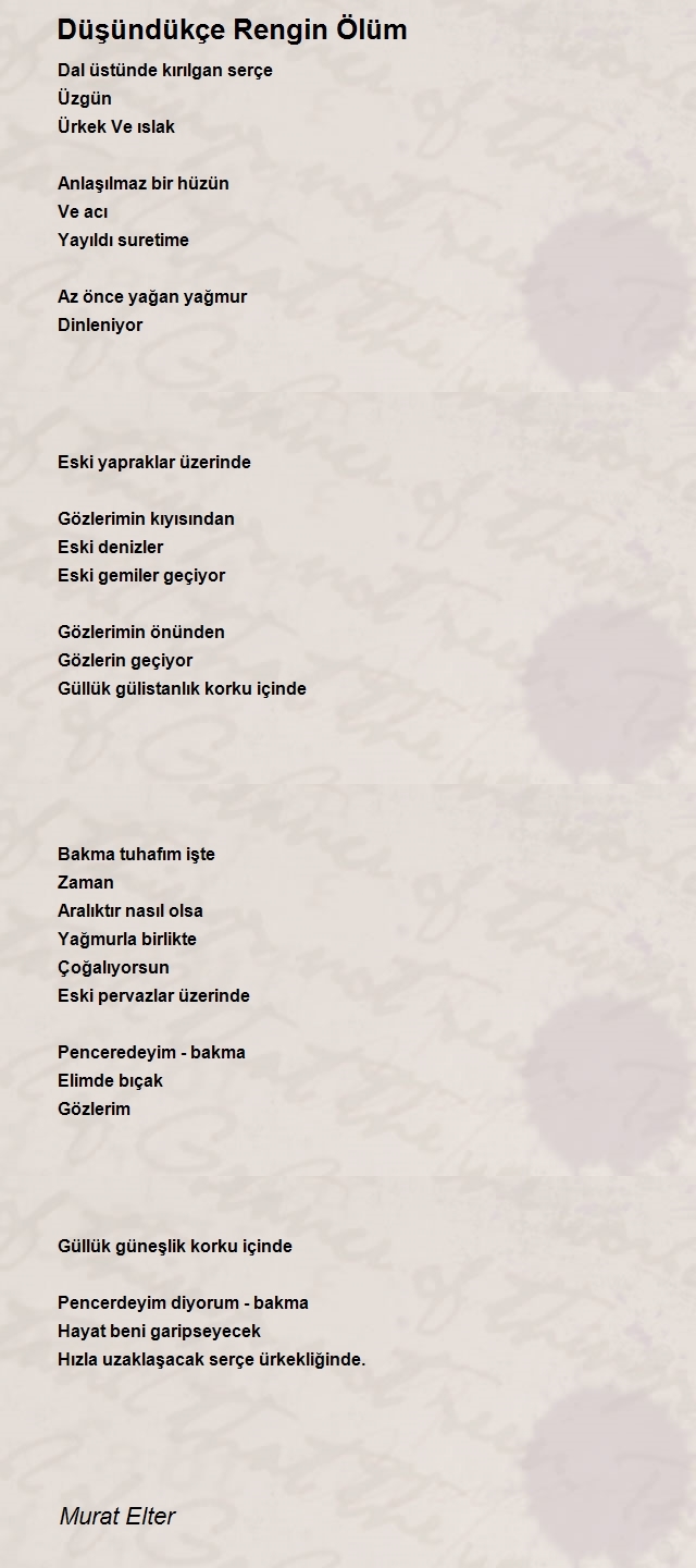 Murat Elter