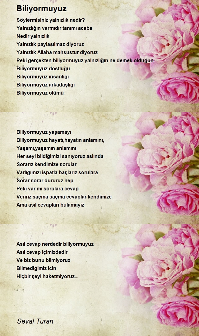 Seval Turan