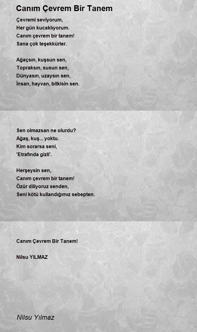 Nilsu Yılmaz