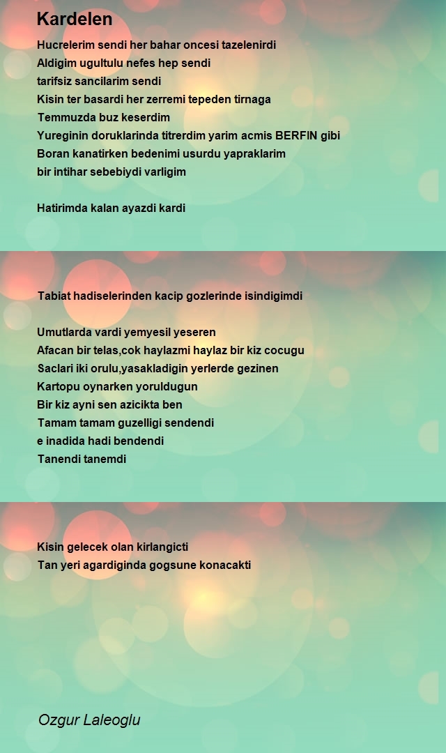 Ozgur Laleoglu